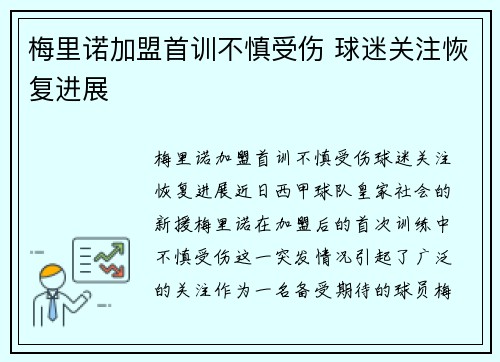 梅里诺加盟首训不慎受伤 球迷关注恢复进展